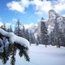 Schneebedeigter Tannenzweig im Vordergrund mit verschneitem Wald und Berg im Hintergrund